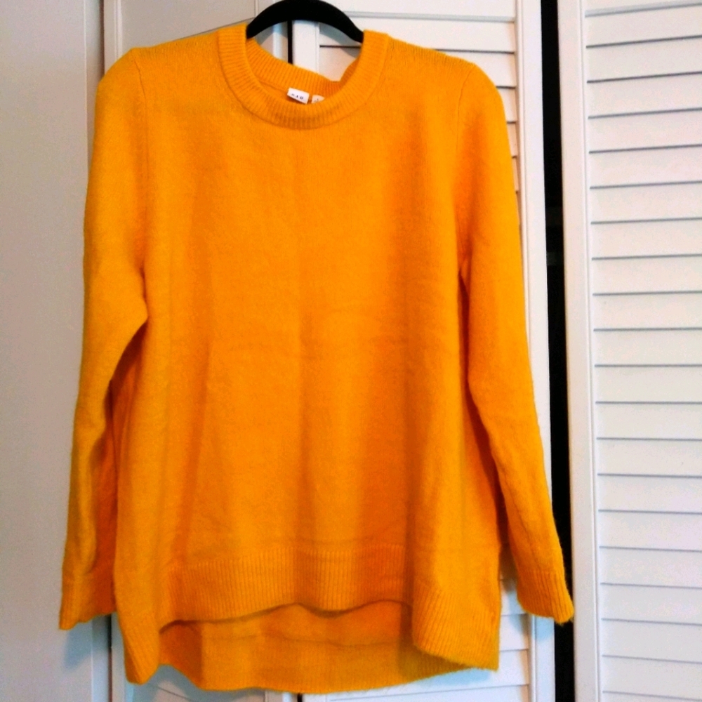 Gap Teddy sweater